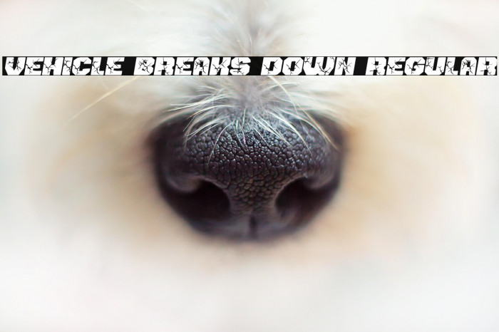 Vehicle Breaks Down Regular Example 1