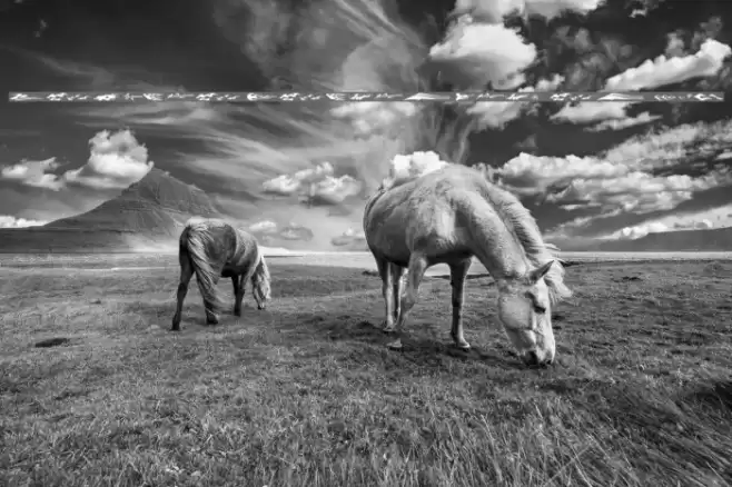 Vehicle Decals Flames  Art Font examples