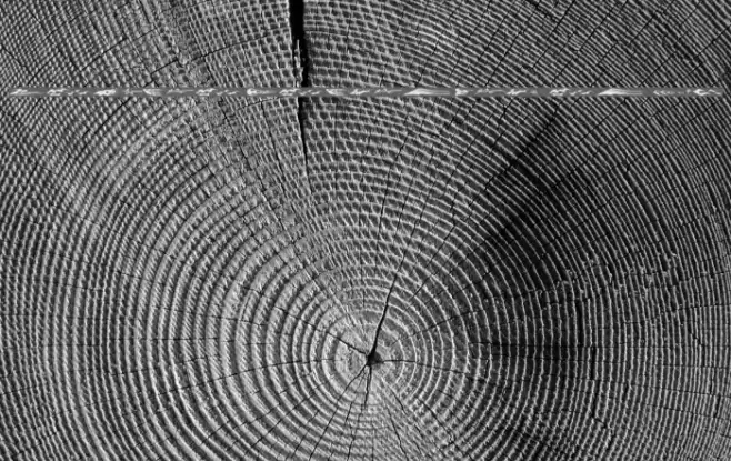 Vehicle Decals Flames  Art Font examples