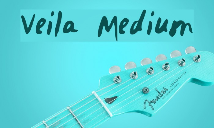 Veila Medium Font examples