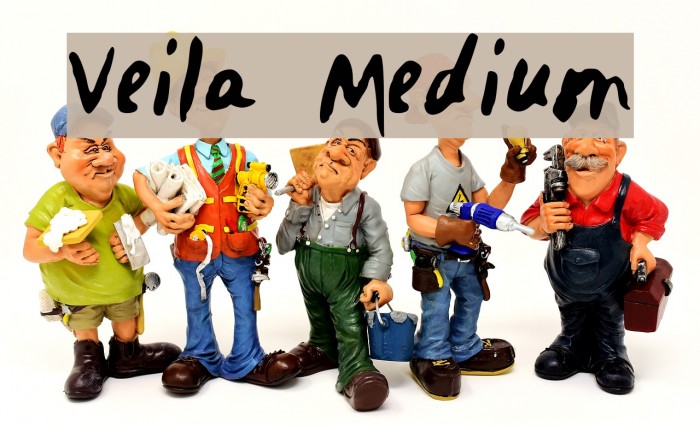 Veila Medium Font examples