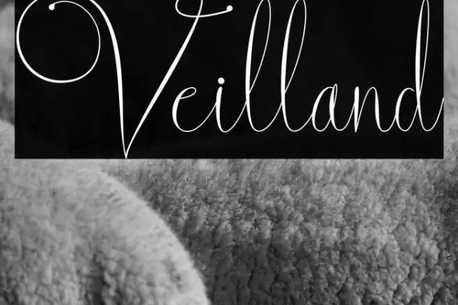 Veilland Font examples