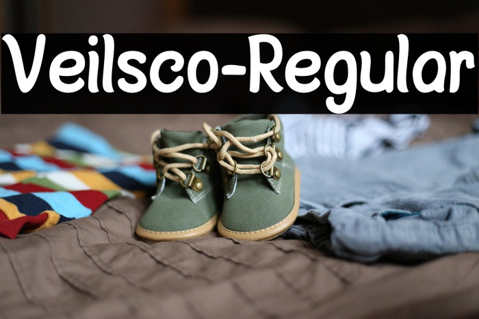 Veilsco-Regular Example 1