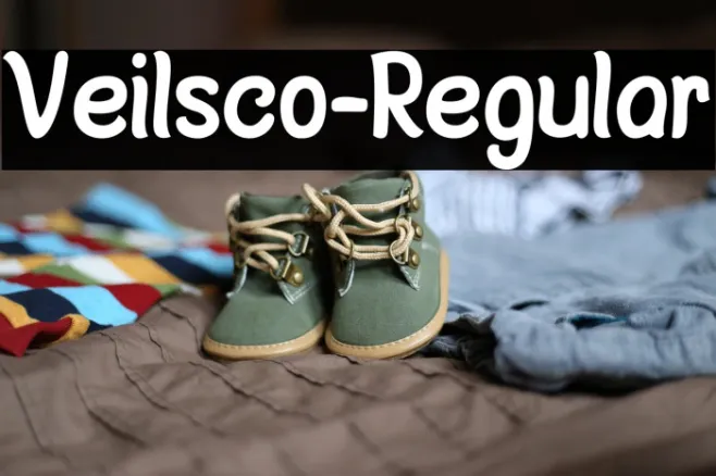 Veilsco-Regular Example 1