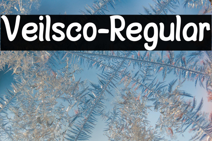 Veilsco-Regular Example 2