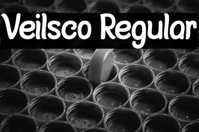 Veilsco Regular Font examples