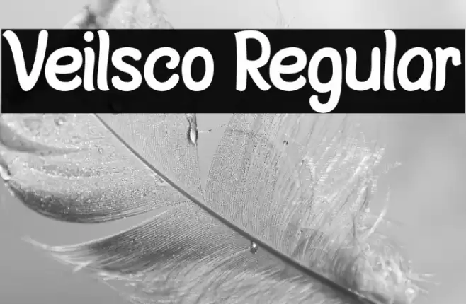 Veilsco Regular Font examples