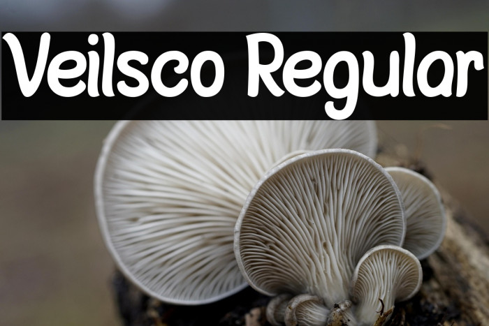 Veilsco Regular Example 3