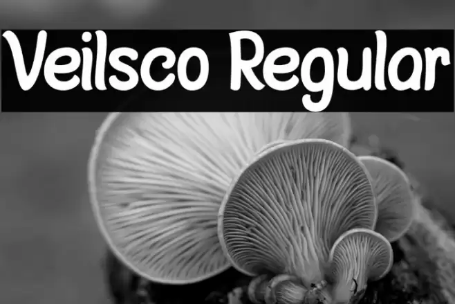 Veilsco Regular Font examples
