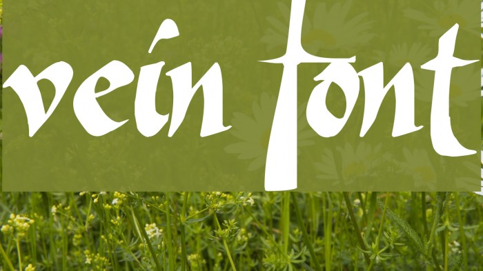 Vein Font examples