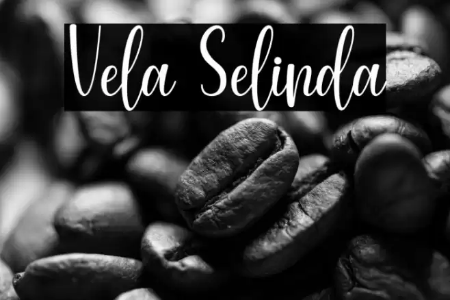 Vela Selinda Font examples