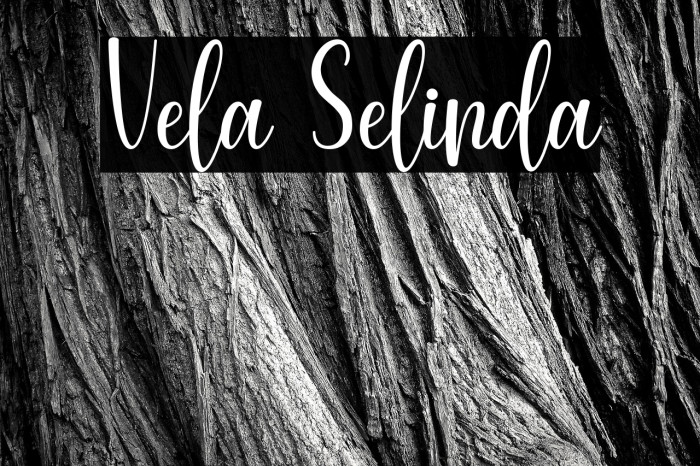 Vela Selinda Example 2