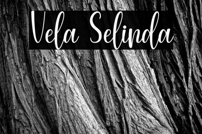 Vela Selinda Font examples
