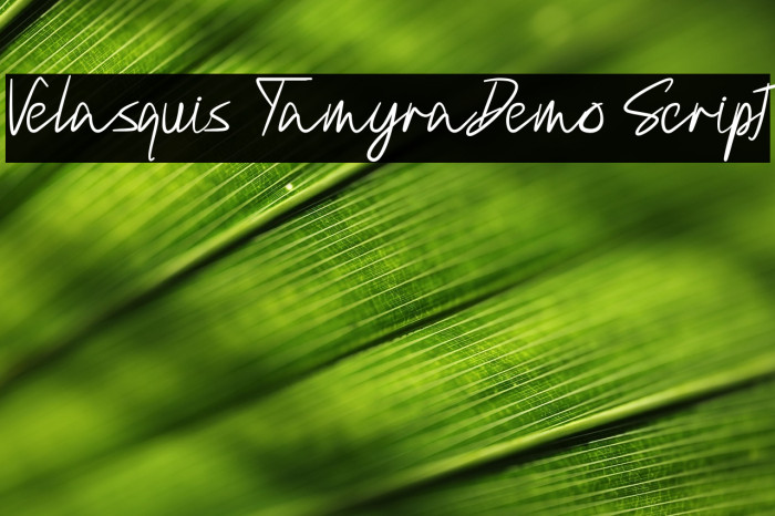 Velasquis TamyraDemo Script Example 2