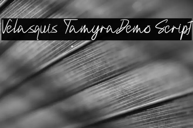 Velasquis TamyraDemo Script Font examples