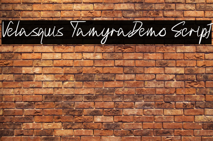 Velasquis TamyraDemo Script Example 3