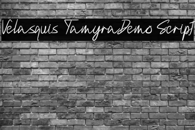 Velasquis TamyraDemo Script Font examples