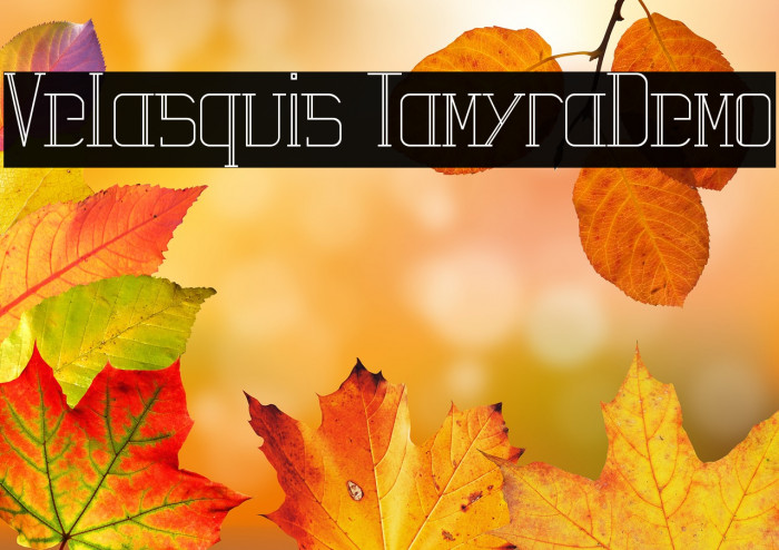 Velasquis TamyraDemo Example 2