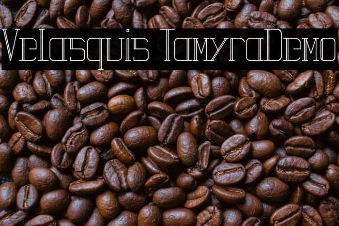 Velasquis TamyraDemo Example 3