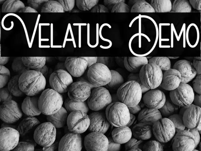 Velatus Demo 字体 examples