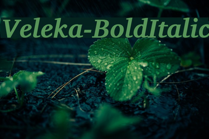 Veleka-BoldItalic Font examples