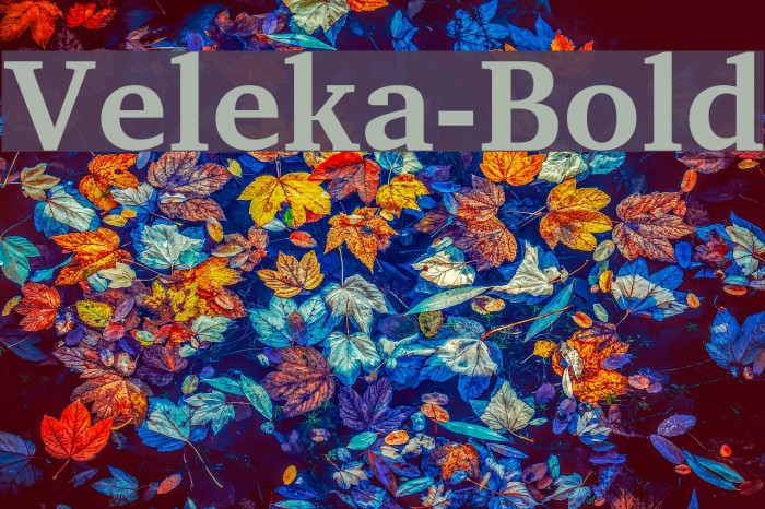 Veleka-Bold Font examples