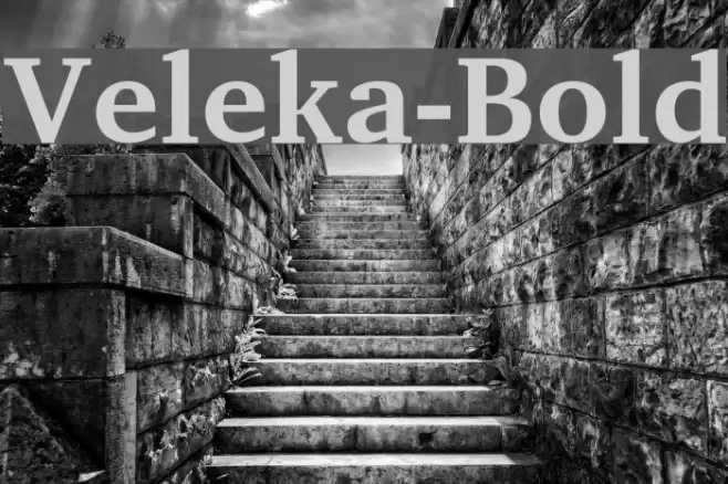 Veleka-Bold Font examples