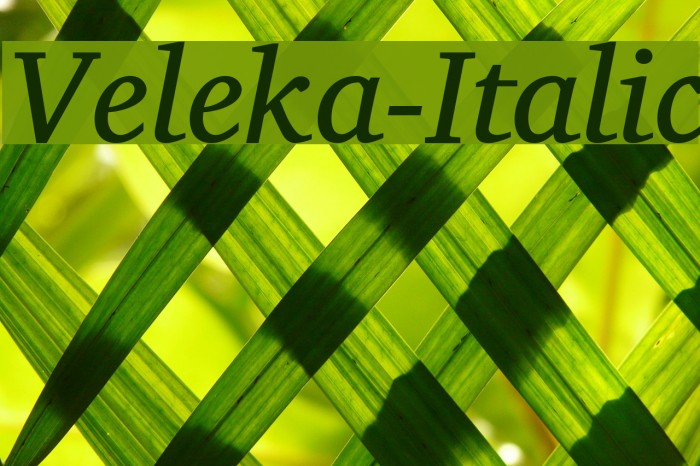 Veleka-Italic Font examples