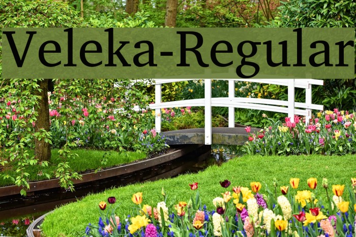 Veleka-Regular Fuentes examples