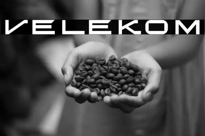 Velekom Font examples