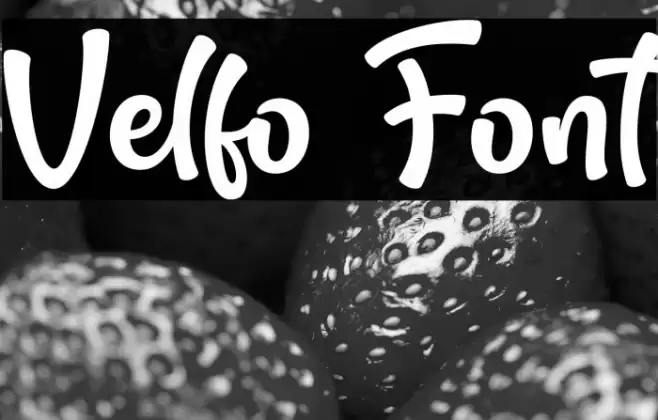 Velfo Font examples