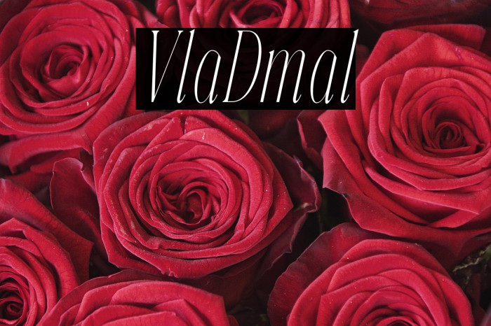 Veliora Demo Italic Example 2