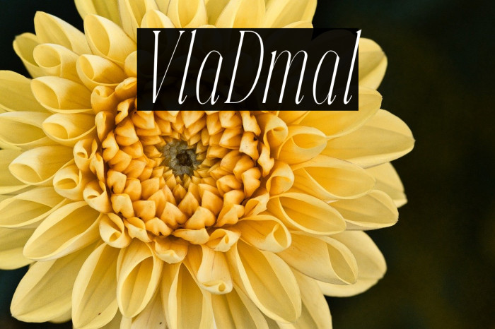 Veliora Demo Italic Example 3