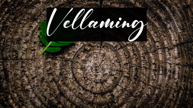 Vellaming Example 1
