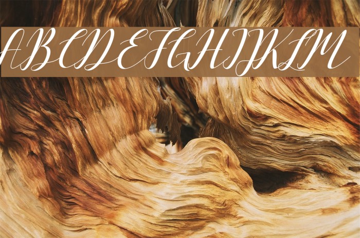 VellesaScript Font examples