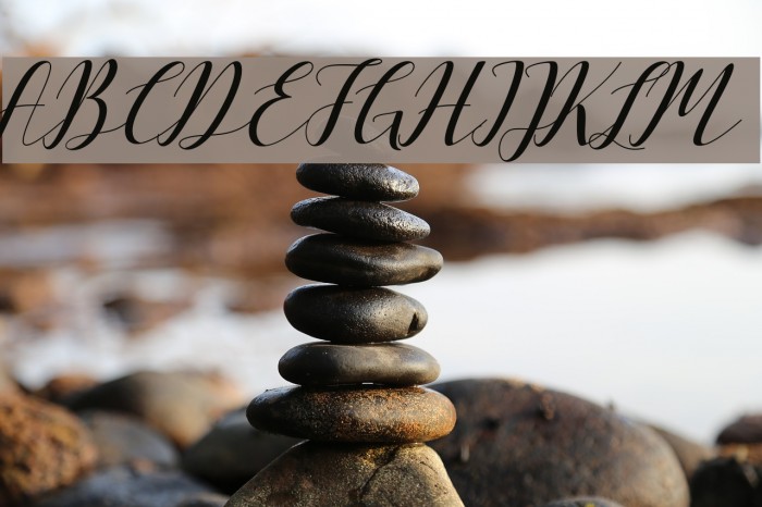 VellesaScript Font examples