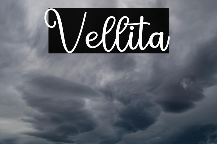 Vellita Example 3