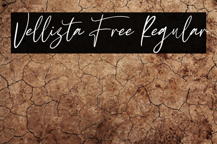 Vellizta Free Regular Example 3
