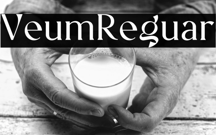 Vellumo Regular Example 1