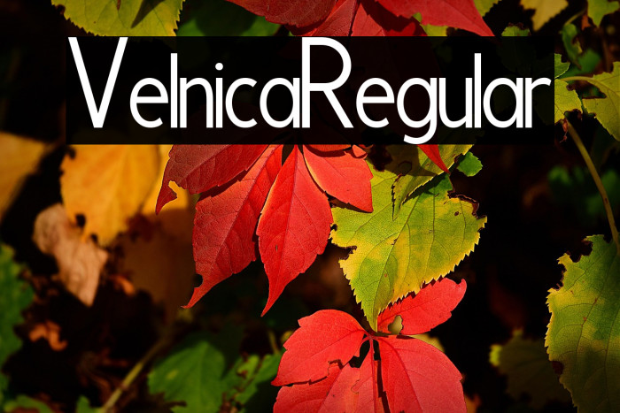 Velnica Regular Example 3