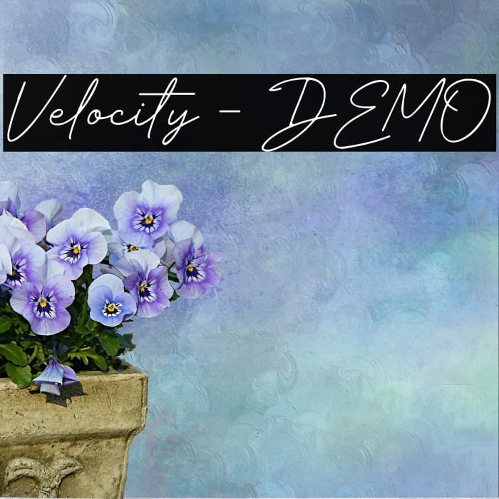 Velocity - DEMO Font examples