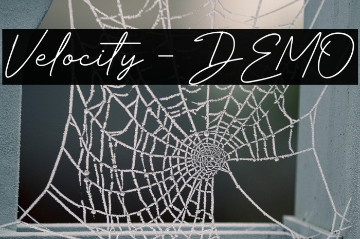 Velocity - DEMO Font examples