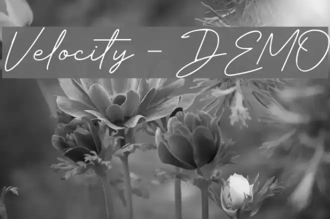Velocity - DEMO Font examples