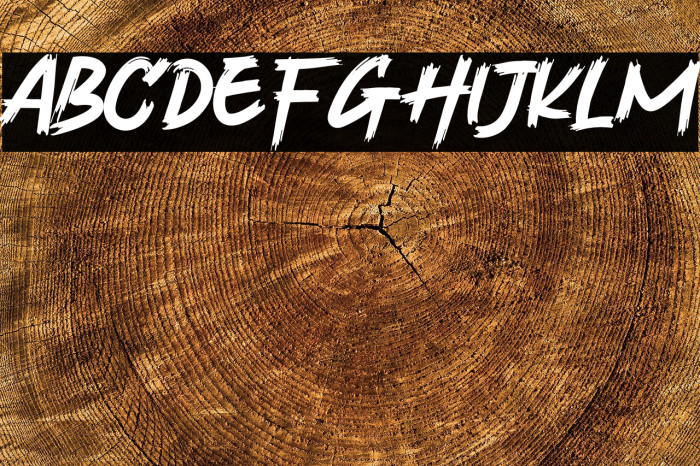 Velocity Vipers Example 1