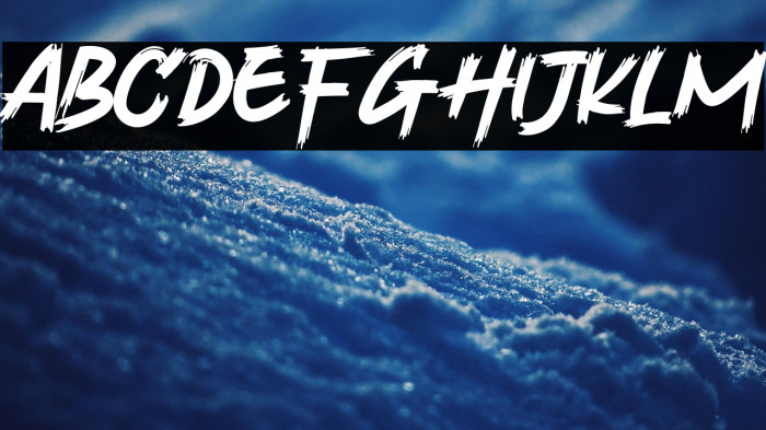 Velocity Vipers Example 2