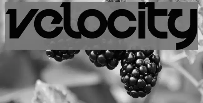 Velocity Font examples