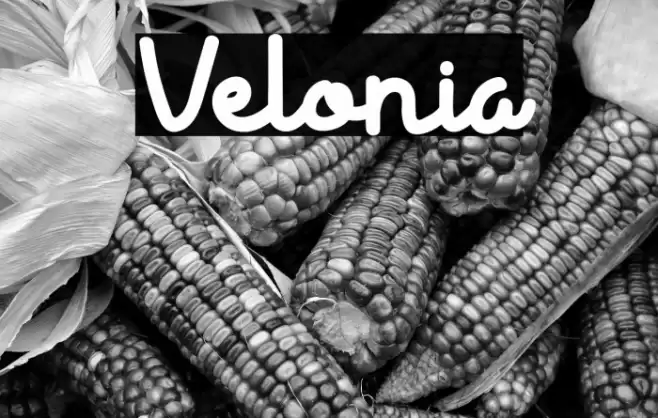 Velonia Font examples