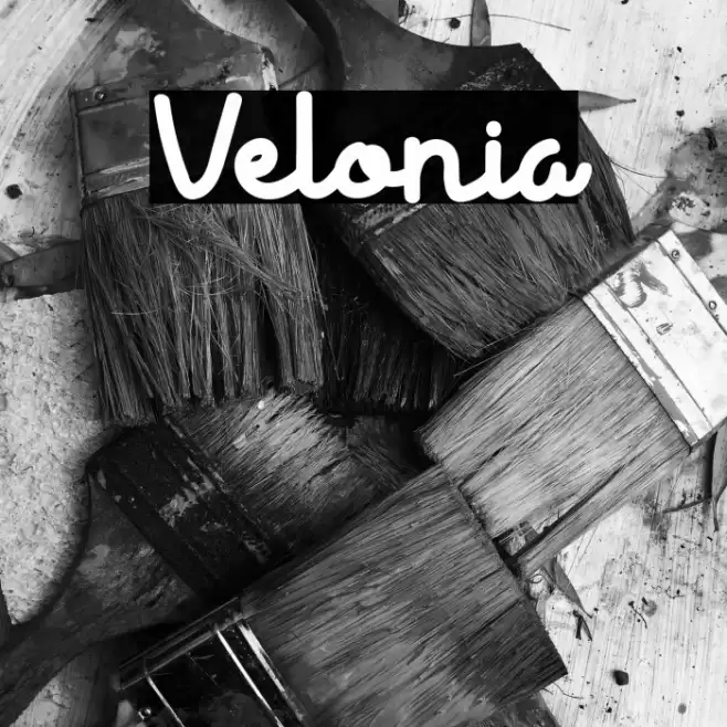 Velonia Font examples