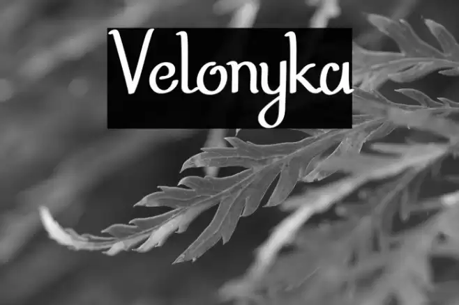 Velonyka Font examples