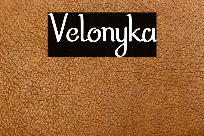 Velonyka Example 3